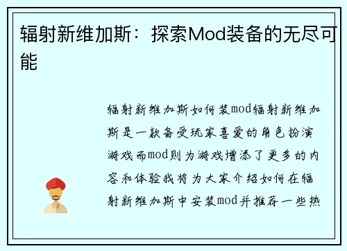辐射新维加斯：探索Mod装备的无尽可能